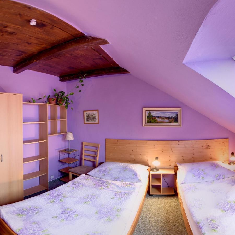Penzion U Lesa Ceske Budejovice Extérieur photo