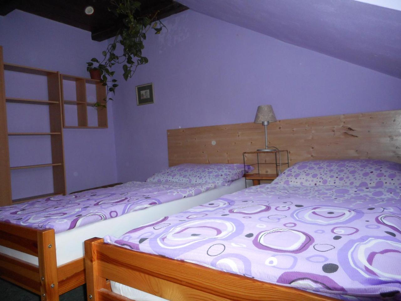 Penzion U Lesa Ceske Budejovice Extérieur photo